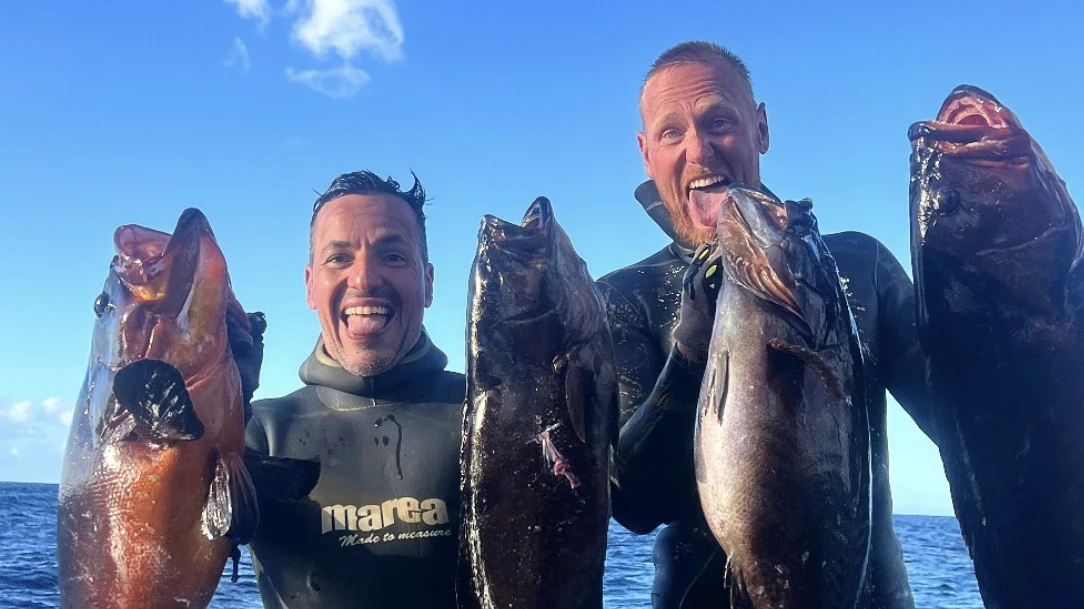 Spearfishing Courses in Tenerife | Canary Islands