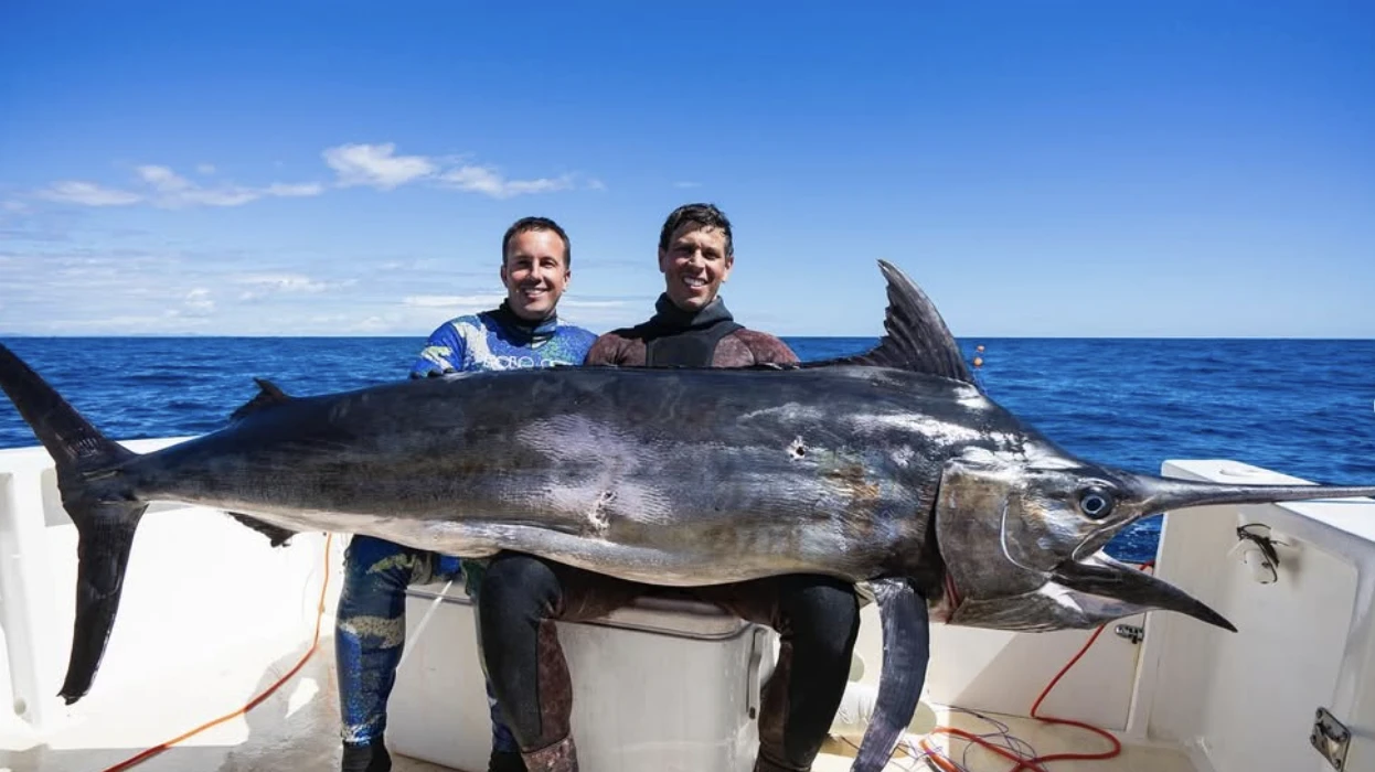 Madagascar Spearfishing