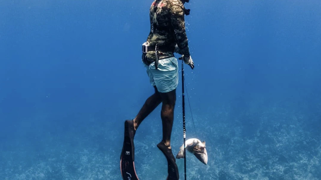 3-Day Spearfishing Course — Nassau, Bahamas