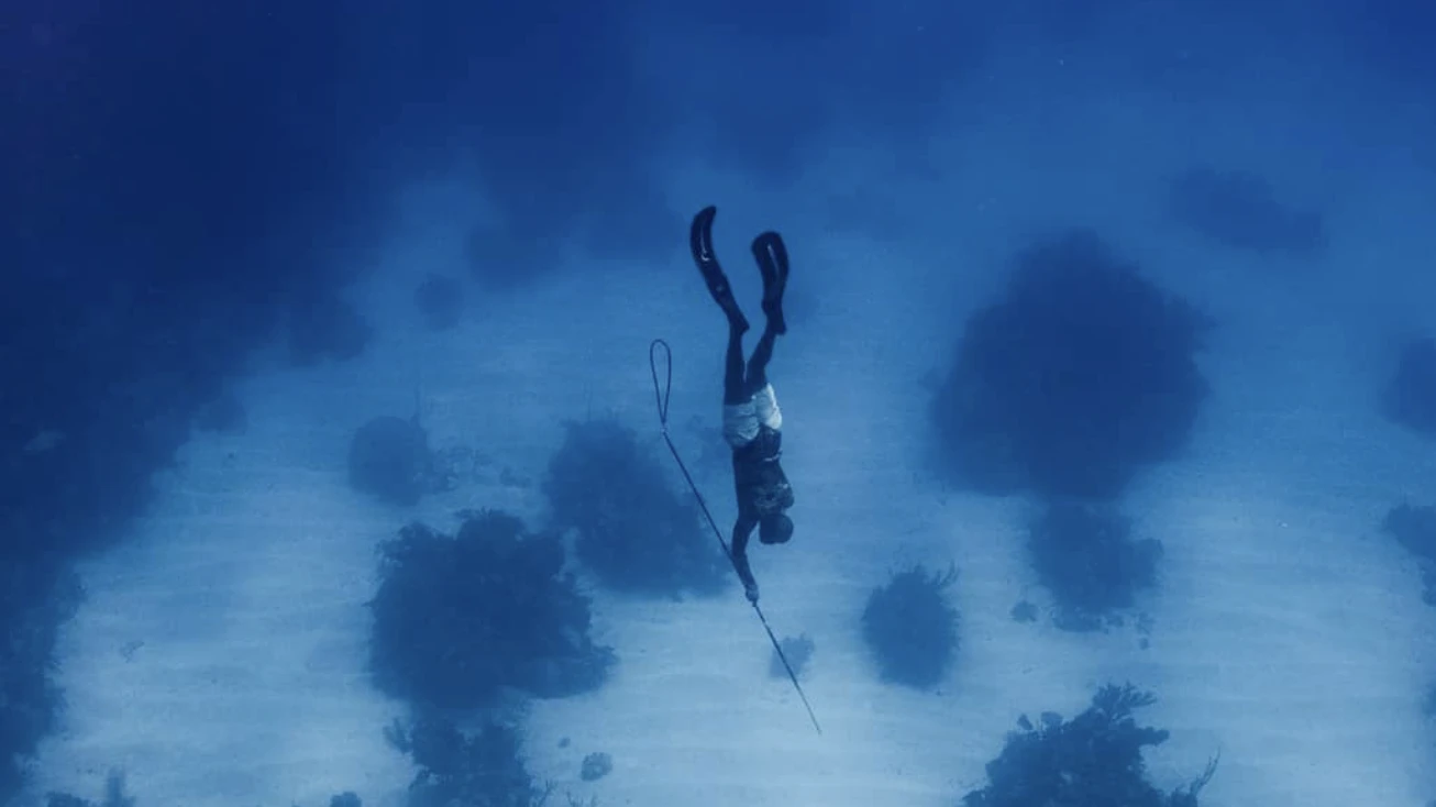 Guided Spearfishing Trips — Nassau, Bahamas