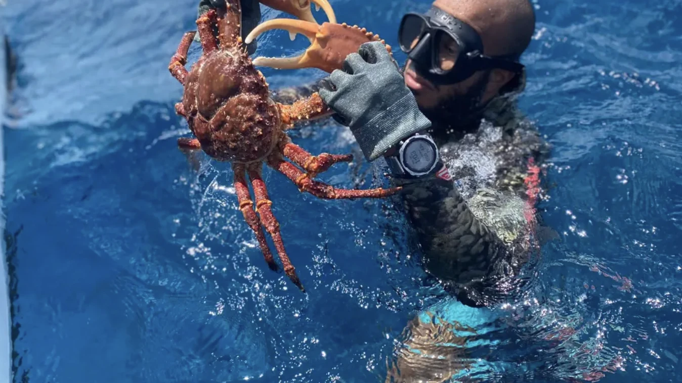 Hire a Spearfishing Guide — Nassau, Bahamas