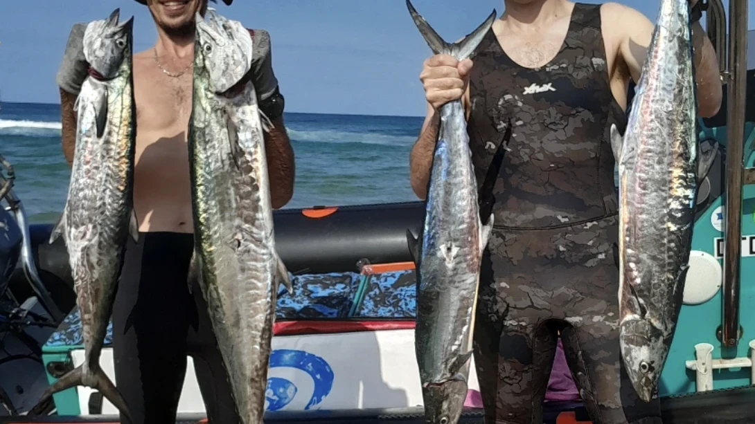 Spearfishing in northern KwaZulu-Natal, South Africa 🇿🇦