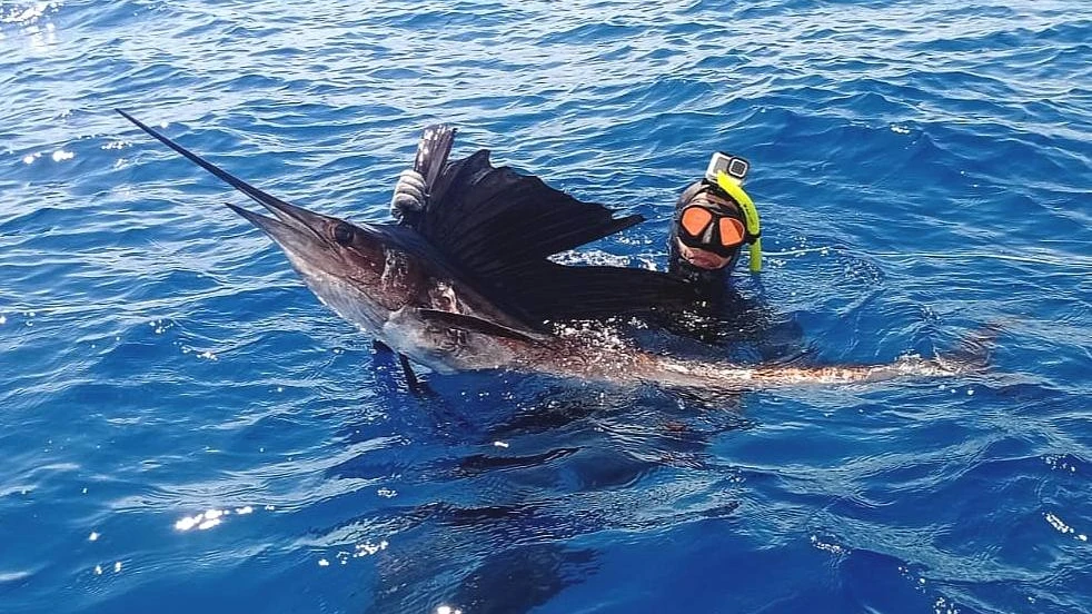 Guided Spearfishing Trips in Riviera Maya, Mexico