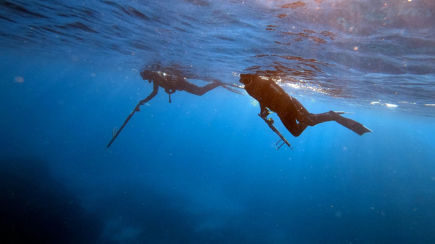 Discover Spearfishing Course | Malta & Gozo